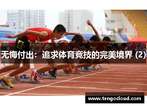 无悔付出：追求体育竞技的完美境界 (2)
