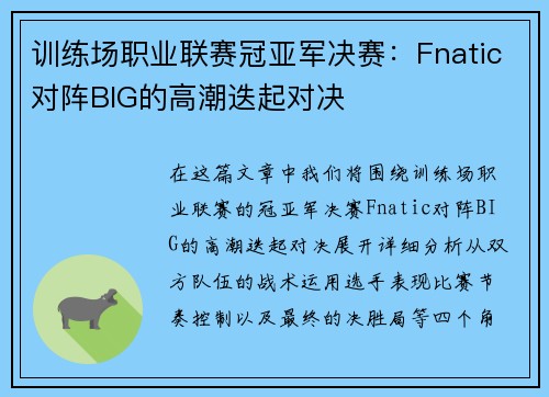 训练场职业联赛冠亚军决赛：Fnatic对阵BIG的高潮迭起对决