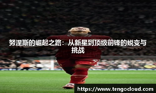 努涅斯的崛起之路：从新星到顶级前锋的蜕变与挑战